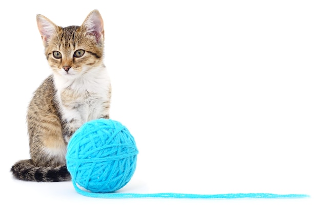 Cat with ball of yarn