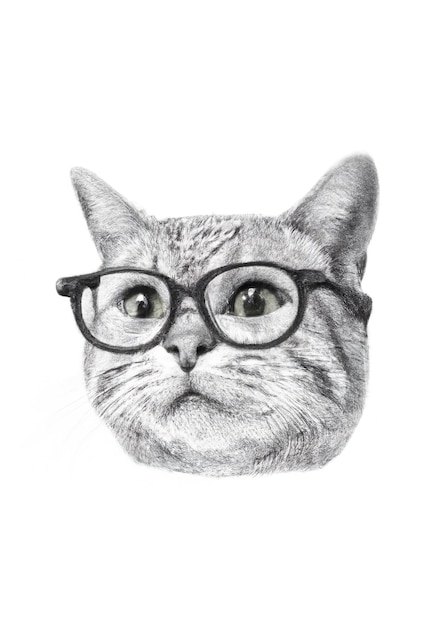 Cat with glasses pencil drawing