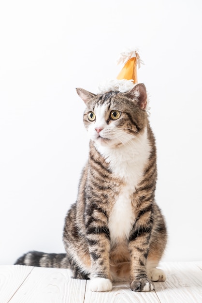 パーティーハットを持つ猫