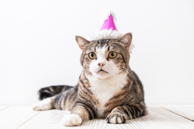 cat with party hat