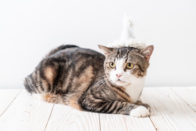 cat with party hat