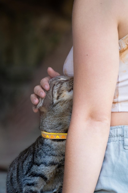 A cat with a yellow collar is being held by a woman.