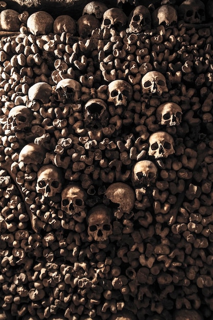 Catacomben van Parijs