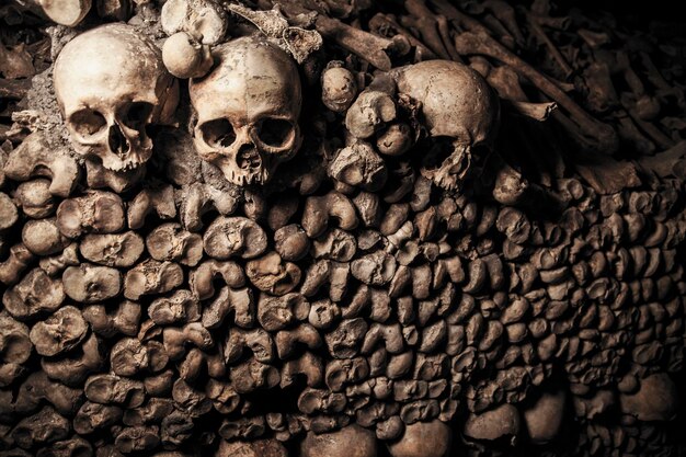 Catacombs of Paris