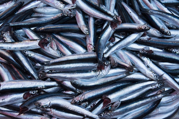 Catania, Sicilië, Italië. Sardines, typische mediterrane zeevis verkocht op Siciliaanse markten.