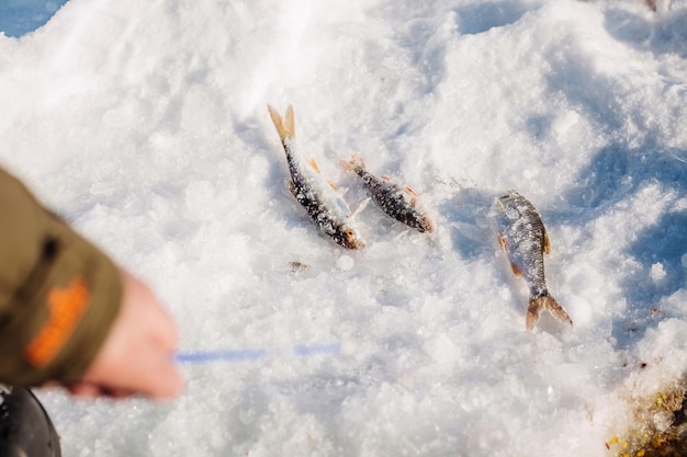 氷の上で漁師の魚を捕まえる