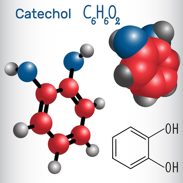 Catechol pyrocatechol molecule structurele chemische formule en model