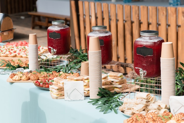 Catering in the outdoor summer park 1