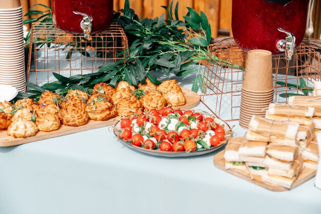 Catering in the outdoor summer park 1