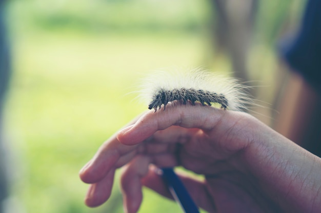 Caterpillar, ползающий по человеческой руке