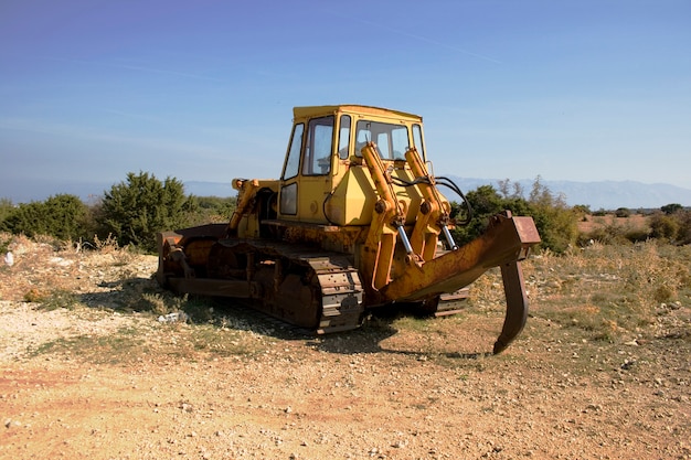 Caterpillar