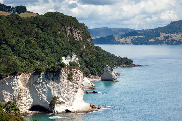 Cathedral Cove strand bij Hahei in Nieuw-Zeeland