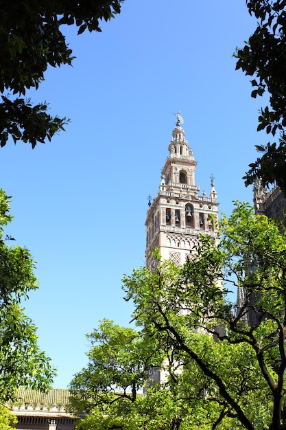 Cathedral and Giralda bell tower, Seville