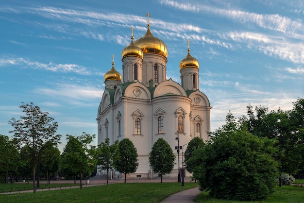 Cathedral of the Holy Great Martyr Catherine Pushkin Saint Petersburg Russia