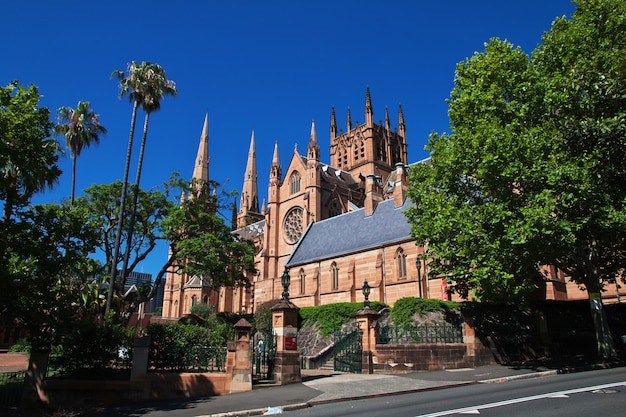 Cathedral in hyde park of Sydney, Australia