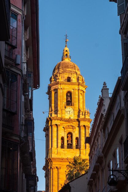 Cattedrale dell'incarnazione della città di malaga, andalusia. spagna