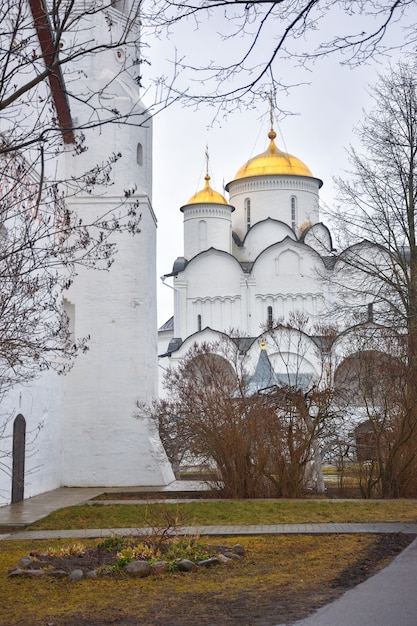 Собор Покровского монастыря в Суздале