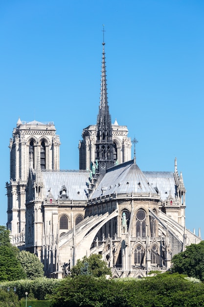 Cattedrale notre dame parigi