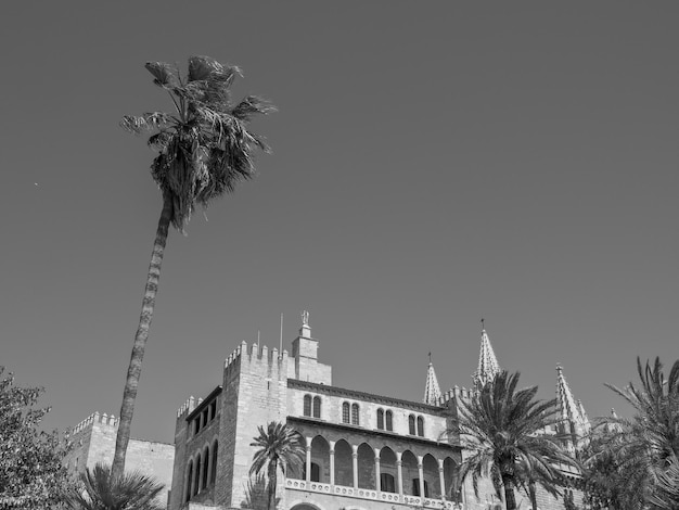 cathedral of palma