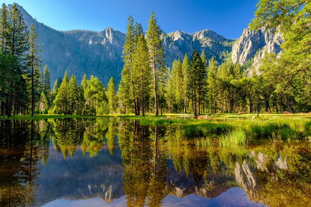 Photo cathedral rocks reflecting in merced river at yosemite