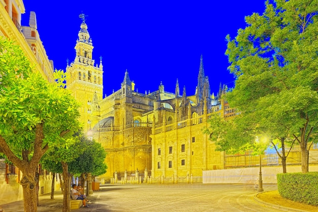 Photo cathedral of saint mary of the see catedral de santa maria de l