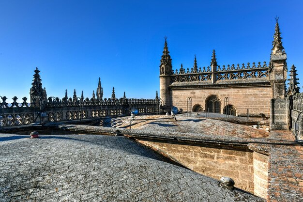 Photo cathedral of st mary of the see of seville also known as the cathedra of seville in spain