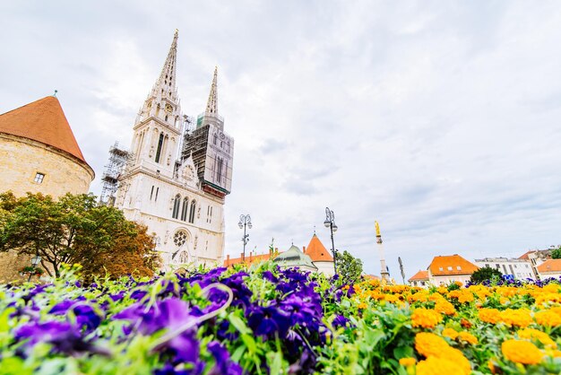 Cathedral of zagreb old european gothic church