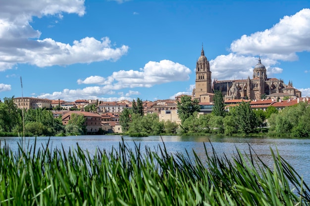 Cathedrals of Salamanca