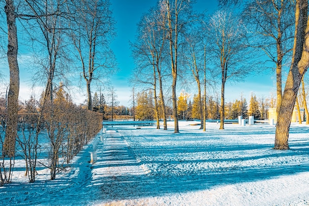 Catherine Park in de buurt van het paleis met dezelfde naam Tsarskoye Selo Pushkin Sint-Petersburg Rusland