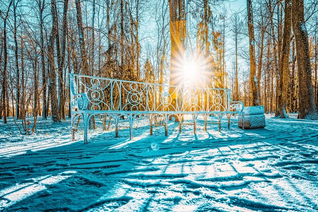 Catherine Park near the palace of the same name Tsarskoye Selo Pushkin Saint Petersburg Russia