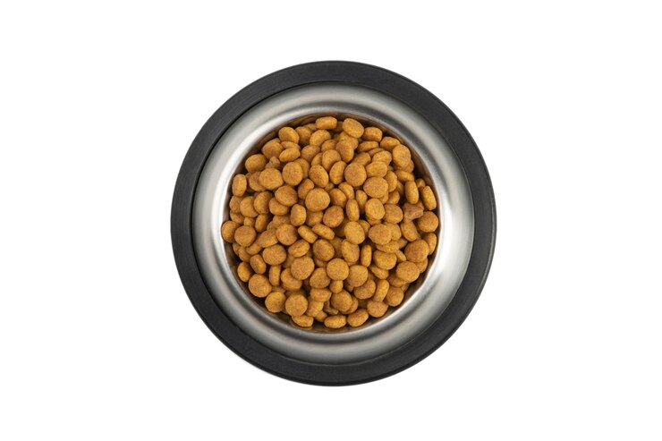 Cats and dogs dry food in metal bowl on white background Top view