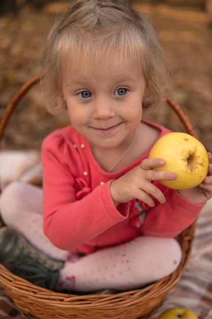 кавказское яблоко красивая красота волосы женщина лес молодой корзина октябрь девушка природа женщина веселье