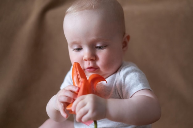 Caucasian baby girl playing with a flower on a brown background