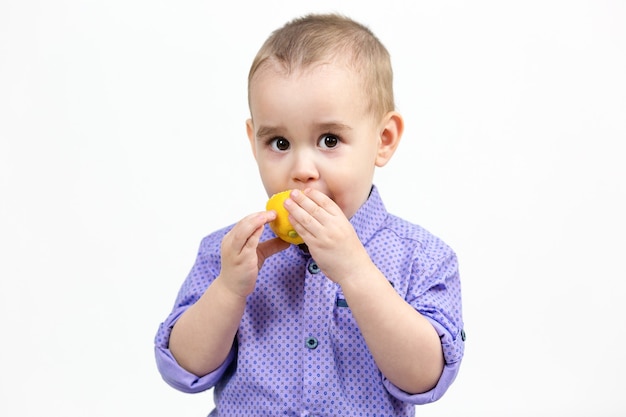 Caucasian boy 3 years old eating lemon on white background.