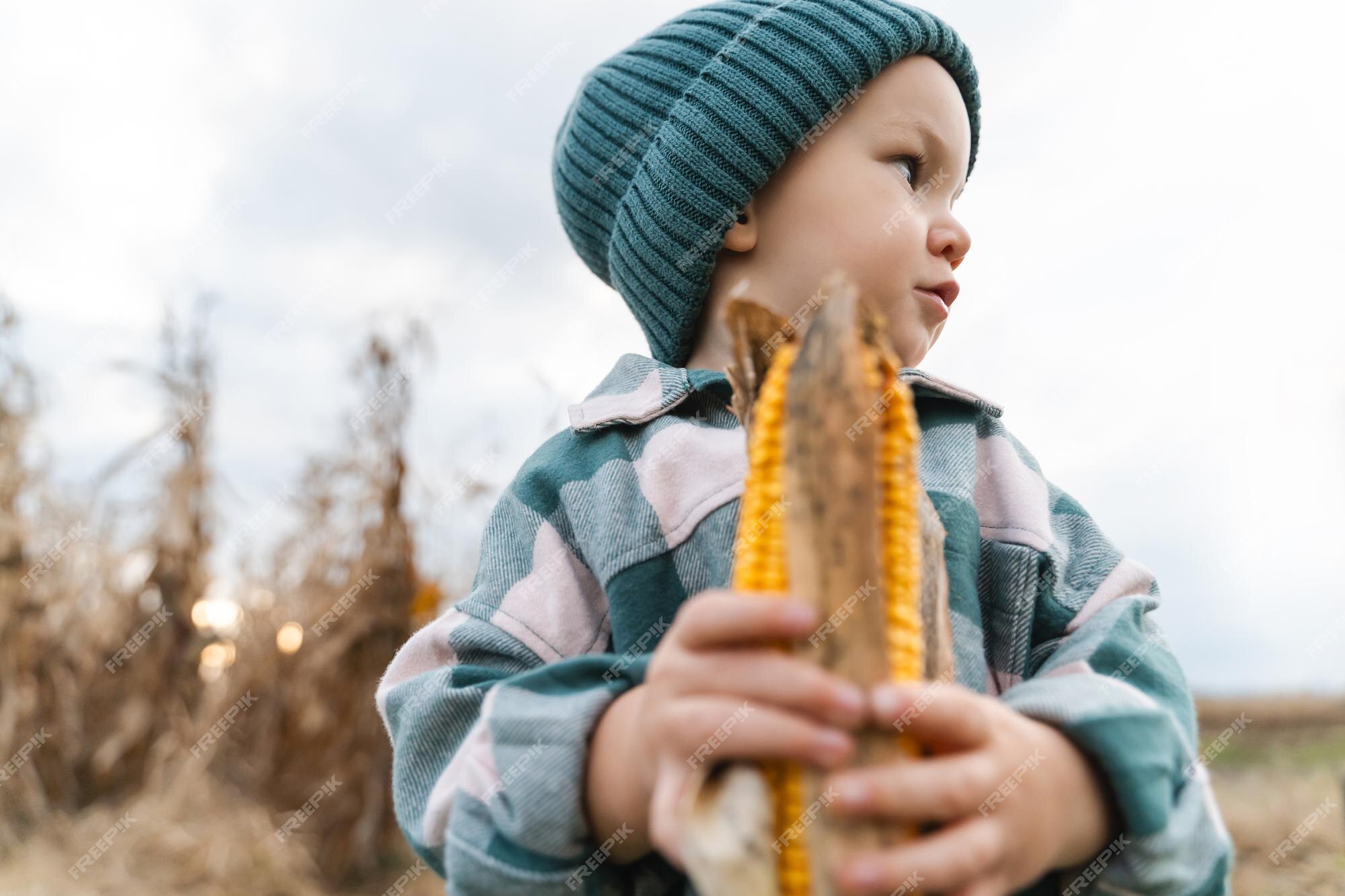 Corn - KidsGardening