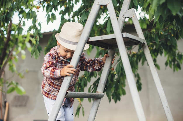 Caucasian boy with hat using stairs to eat cherry in the garden near the tree