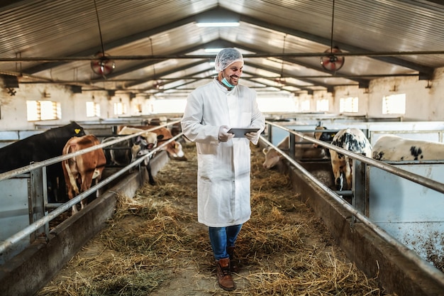 Caucasian dedicated veterinarian walking in the barn with tablet under armpit and checking on cows.