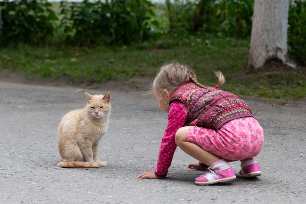 Фото Кавказская девочка четырех лет играет с кошачьим летним парком