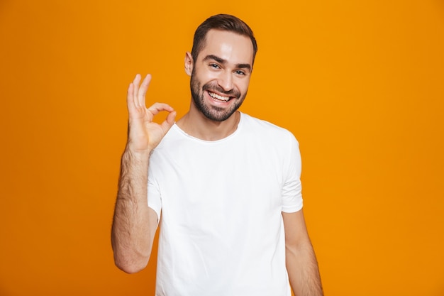 caucasian guy with beard and mustache showing ok sign while standing, isolated on yellow