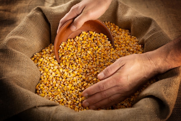 Caucasian male hands filling clay bowl with maize corns from burlap sack