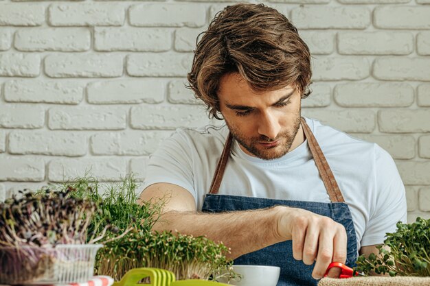 Caucasian man grows micro green at home