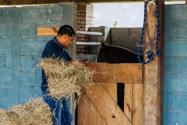 Caucasian man in a stable holding straw, a horse in the background.