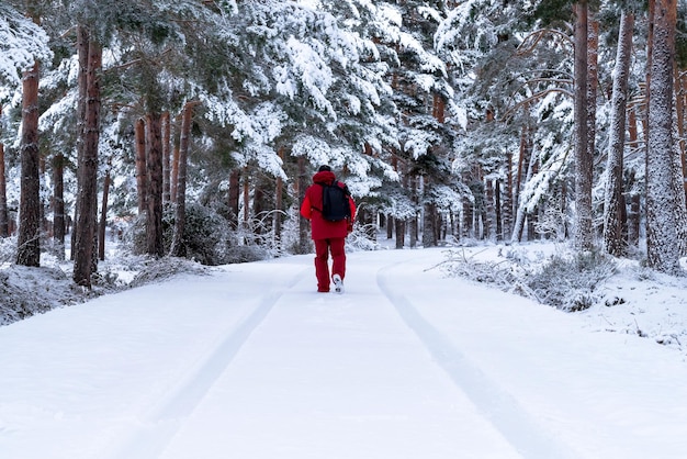 Caucasian man walking through the winter forest