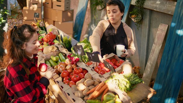 Caucasian people talking about homegrown products, woman buying fresh fruits and vegetables from local stand. Farmer and customer looking at eco organic seasonal produce on counter.