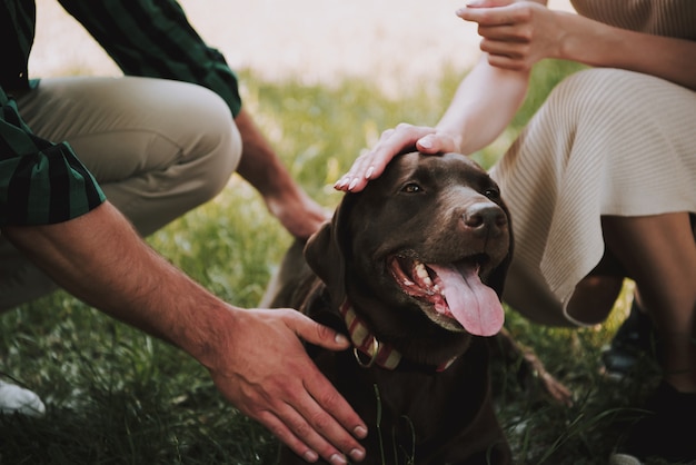 Caucasian People with Their Dog in Park