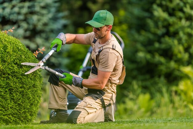 Photo caucasian professional gardener in his 40s wearing sunglasses trimming plants using pro scissors garden maintenance job