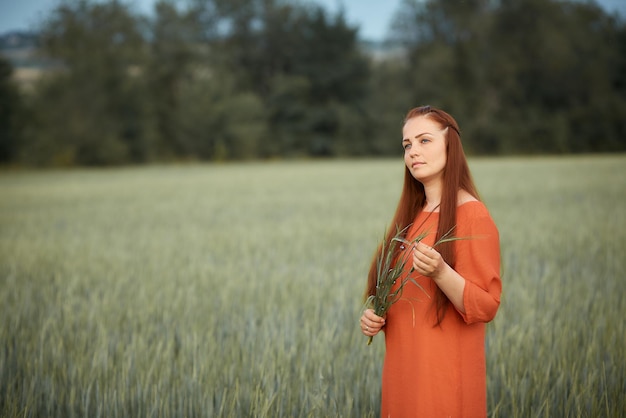 빨간 드레스를 입은 백인 redhaired 여성은 여름날 해질녘에 밀과 함께 농장 들판을 걷고 있다.