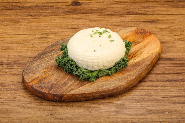 Caucasian suluguni round cheese piece