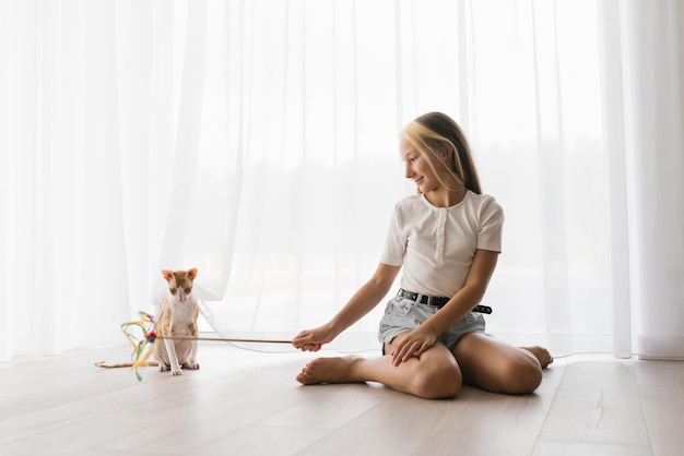 Caucasian teen girl sitting on the floor playing with a cat cornish rex with a stick teaser in the house