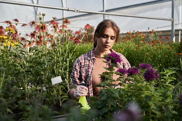 Кавказская женщина распыляет растения в теплице